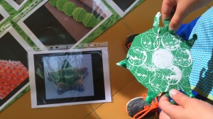 MIAart_IMG_20151123_104455       