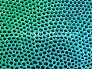 Diatomácea cêntrica (pormenor da ornamentação)